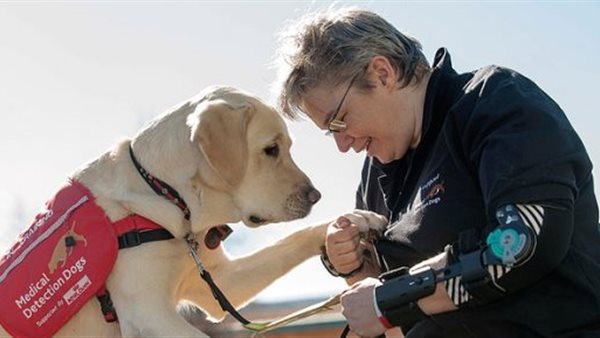 كلاب العلاج