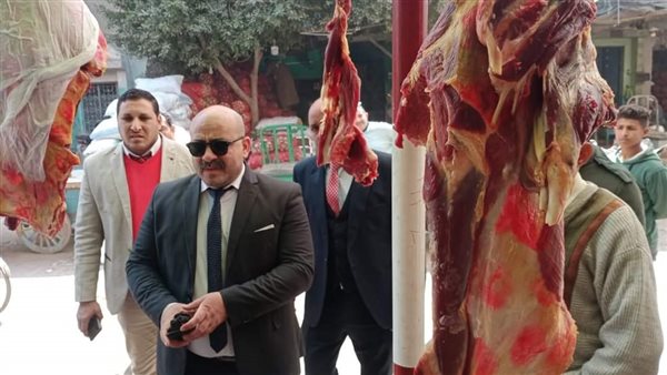 حملات تفتيشية بالمنيا