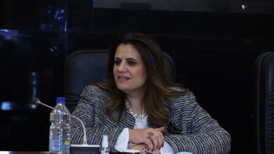 الربط الملاحي والكهربائي وطريق القاهرة كيب تاون.. تفاصيل اجتماع مصري مع النيباد