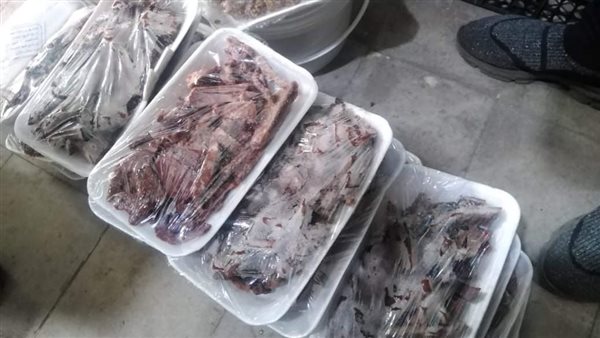 جانب من المضبوطات