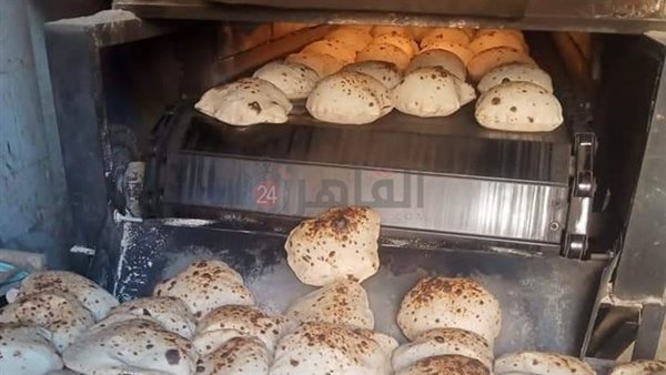 تموين المنيا 