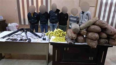 القبض على تشكيل عصابي للاتجار في المواد المخدرة بالدقهلية