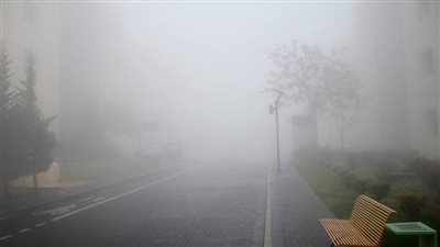 طقس شديد البرودة وسقوط أمطار متوسطة.. والذهب عيار 24 يسجل 1003 جنيهات | بث مباشر