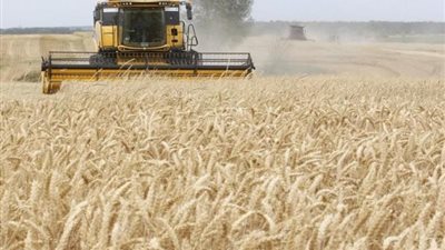 تخصيص 3 آلاف فدان بالوادي الجديد لـ3 جامعات لاستصلاحها واستزراعها