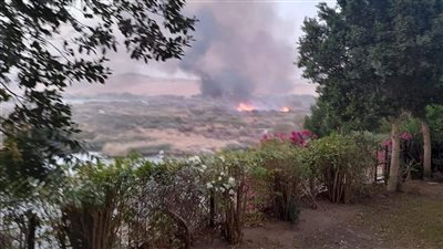 هل هناك أيادٍ خفية وراء حريق محمية سالوجا وغزال؟.. مصدر بالبيئة يجيب | خاص