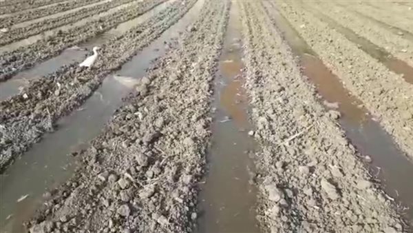 حالة الطقس _ تعبيرية