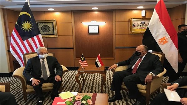 سامح شكري ورئيس الوزراء