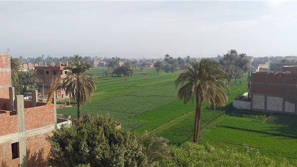 طقس اليوم في سوهاج