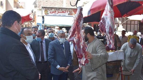 محافظ المنيا 