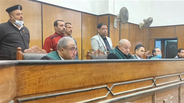 المستشار نسيم بيومي