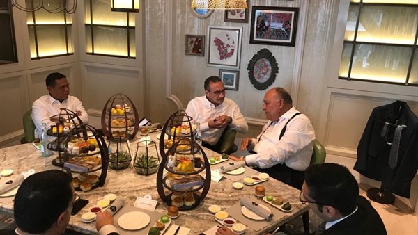 شكري يبحث مع وزير