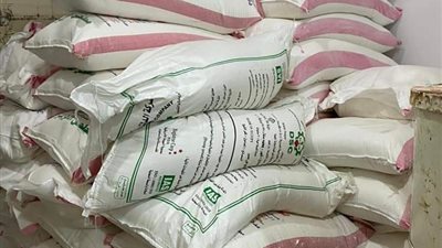 ضبط 5 أطنان دقيق وربع طن أرز خلال حملة تموينية بالدقهلية 