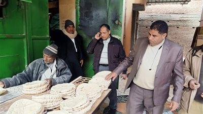 ضبط 3 آلاف رغيف مدعم وإحالة 99 محضرًا تموينيًا للنيابة العامة بالدقهلية 