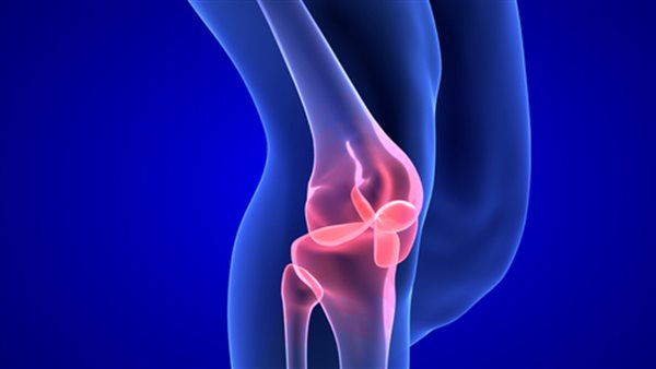 مفصل الركبة 