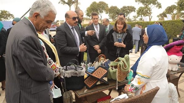 محافظ أسوان