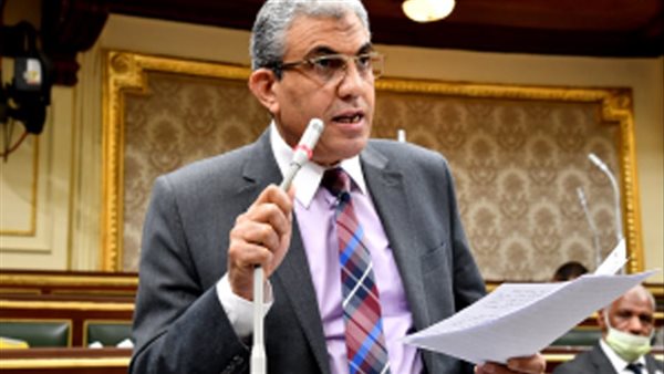  عادل عبدالفضيل