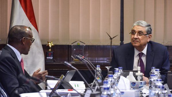 وزير الكهرباء يستقبل