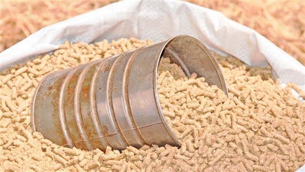 الردة - أرشيفية