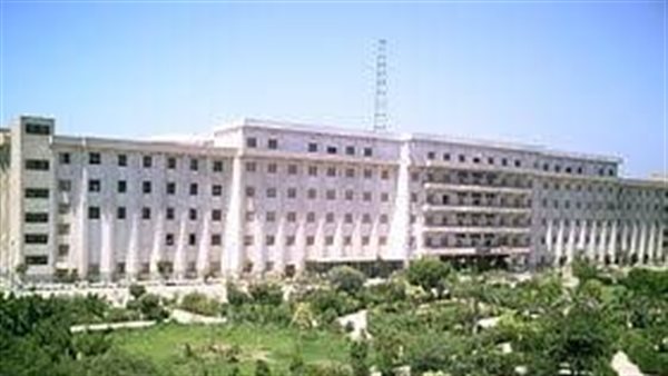 جامعة بني سويف 