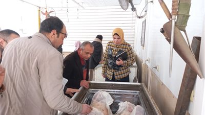 ضبط 42 مخالفة في حملة مكبرة على الأسواق والمحلات والمطاعم بالدقهلية │ صور 