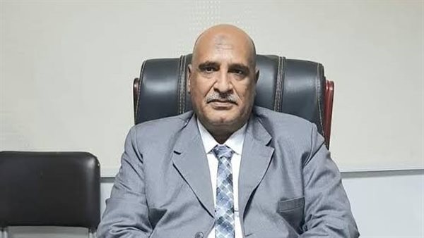 ربيع إسماعيل وكيل