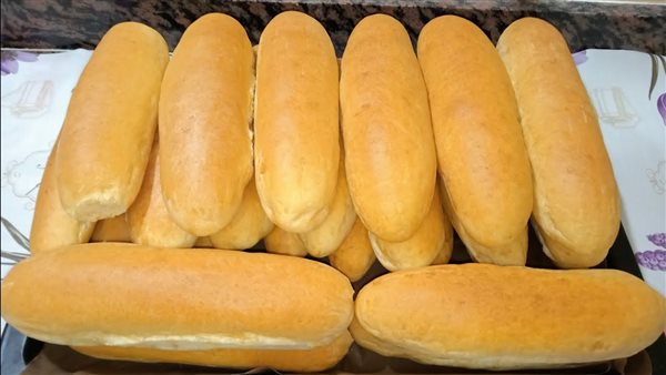 محاولات حكومية للسيطرة