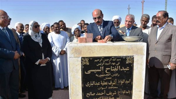 محافظ أسوان