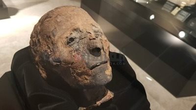 خبير أنثروبولوجي إسباني يتحدث عن أشهر المومياوات المصرية القديمة