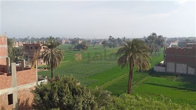 أجواء مناخية معتدلة بسوهاج.. والعظمى 20 درجة| صور