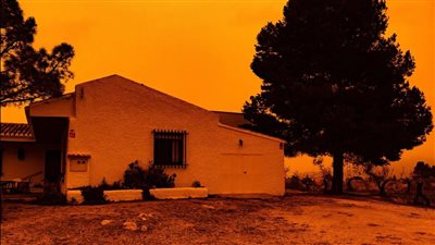 الأرصاد: منخفض قوي نادر الحدوث وعاصفة ترابية يضربان الجزائر والمغرب | صور وفيديو