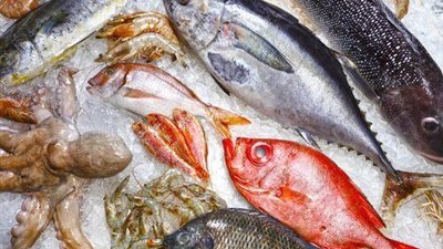  أسعار الأسماك اليوم الثلاثاء 12 أبريل 2022 في الأسواق المصرية