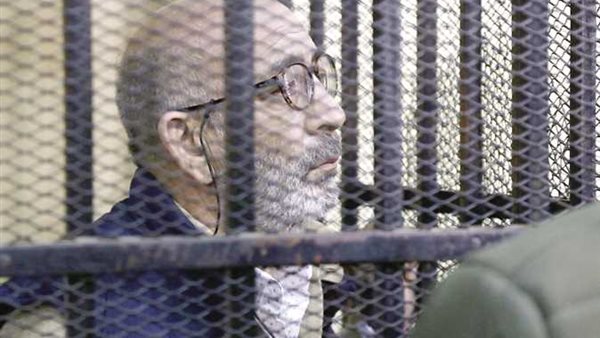 شقيق بطرس غالي