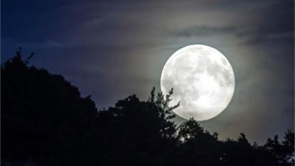 القمر البدر 