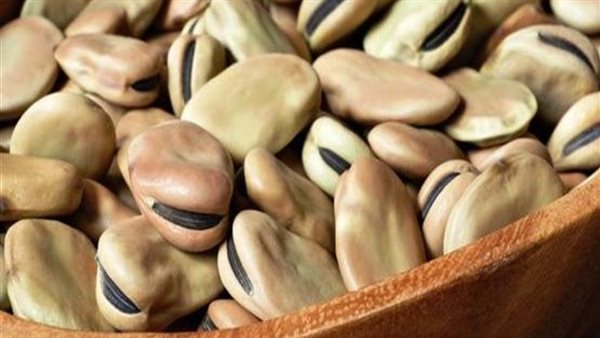 أنيميا الفول