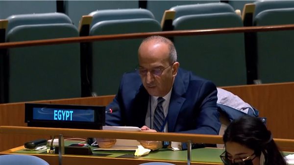 مندوب مصر الدائم