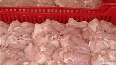 تحرير 10 محاضر وضبط كميات من الكبدة واللحوم غير صالحة للاستهلاك الآدمي بالقليوبية 