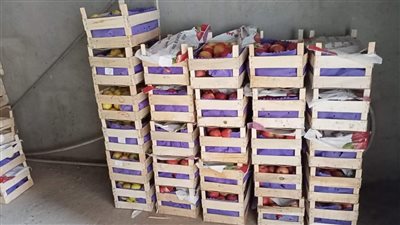 تحرير17 محضرًا تموينيًا خلال حملة على الأسواق بشبين القناطر 