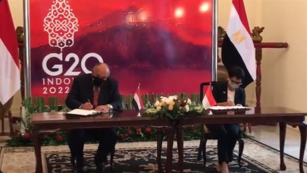 سامح شكري وزير الخارجية