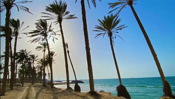 طقس شمال سيناء