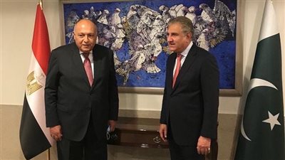وزير الخارجية يبحث مع نظيره الباكستاني العلاقات الثنائية والقضايا الدولية المشتركة