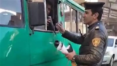 مرور القليوبية: ضبط 33 سائقا دون رخصة قيادة.. وتحرير 666 مخالفة انتظار خاطئ 