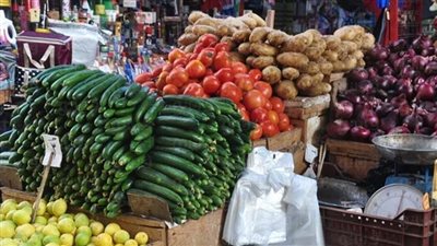 الخيار بـ 12 والبوري بـ 75 جنيهًا.. ارتفاع أسعار الخضروات والأسماك بالأسواق المصرية اليوم | بث مباشر