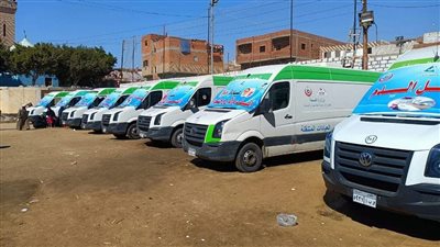  ضمن مبادرة حياه كريمة.. صحة المنيا تنظم قافلة طبية لأهالي قرية بنى روح بمركز ملوي