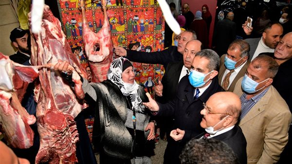 محافظ الغربية يتفقد