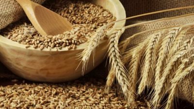 التموين: لدينا مخزون استراتيجي من القمح يكفي 4 أشهر مقبلة | فيديو