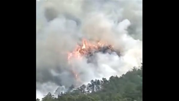 تحطم الطائرة الصينية