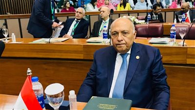 وزير الخارجية يشارك في اجتماعات التعاون الإسلامي.. ويلتقي نظيريه الصيني والتونسي