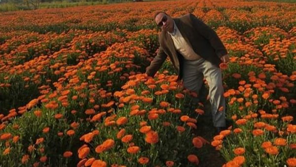 وكيل زراعة الفيوم