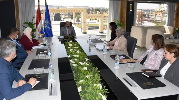 محافظ أسوان