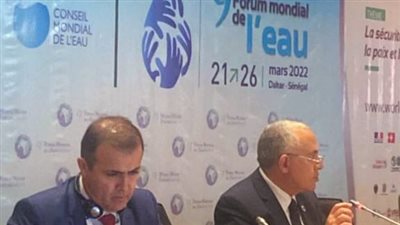 وزير الري: تنفيذ العديد من المشروعات الكبرى للتعامل مع التحديات المائية بدرجة عالية من المرونة والكفاءة